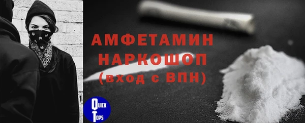 соль ск Богородицк