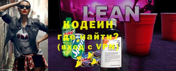 прущий лед Богданович